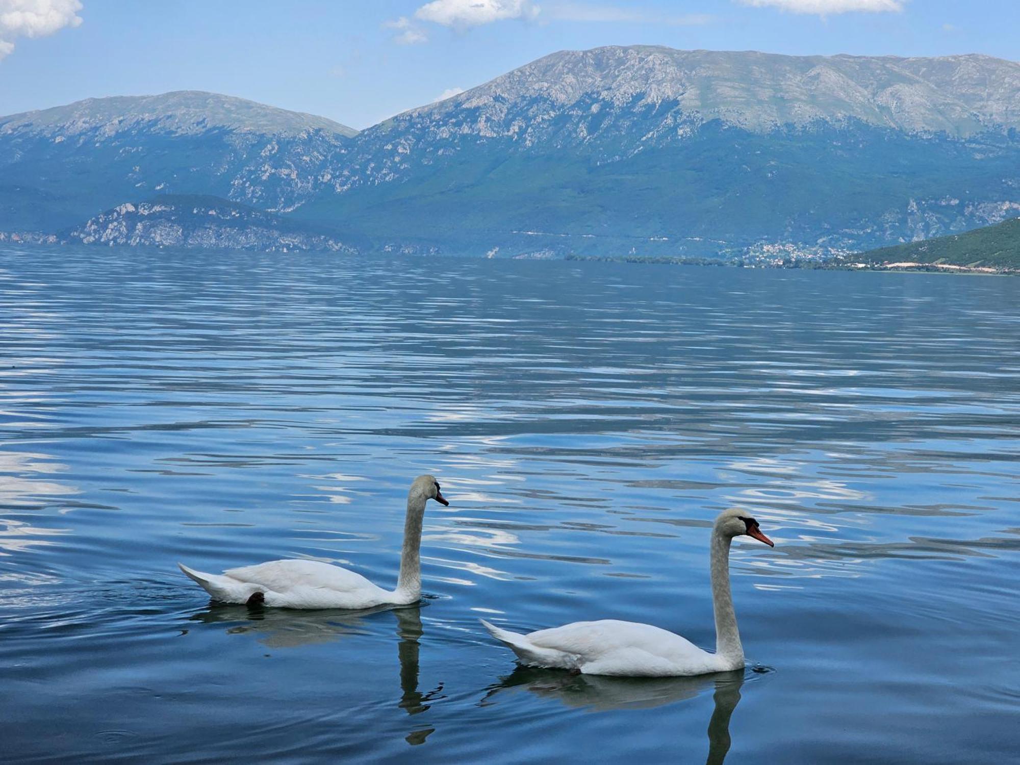 Hotel Enkelana Pogradec Ngoại thất bức ảnh